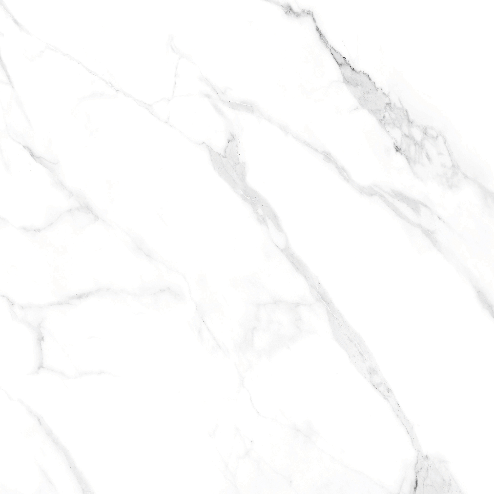 Gạch ALINA WHITE R1 100x100